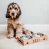 Personalised Bamboo and Stainless Steel Dog / Pet Bowls NEW